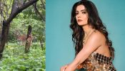 Ghum Hai Kisikey Pyaar Meiin actress Ankita Khare spots Deer and baby Deer during Filmcity shoot 853418