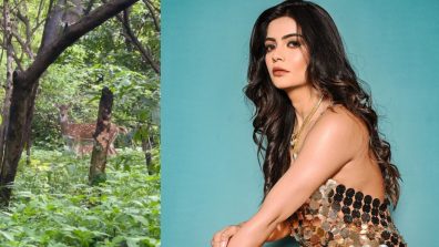 Ghum Hai Kisikey Pyaar Meiin actress Ankita Khare spots Deer and baby Deer during Filmcity shoot