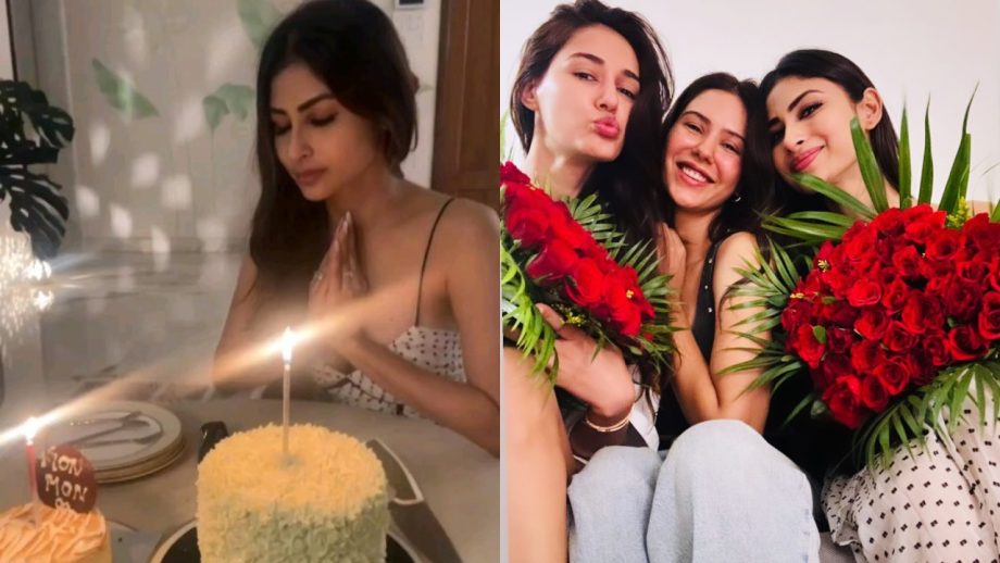 Happy Birthday Mouni Roy! Disha Patani and Sonam Bajwa caught having mad fun together [Viral Video] 854265