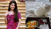 Inside Jacqueline Fernandez’ ‘purrfect’ mornings, see pic