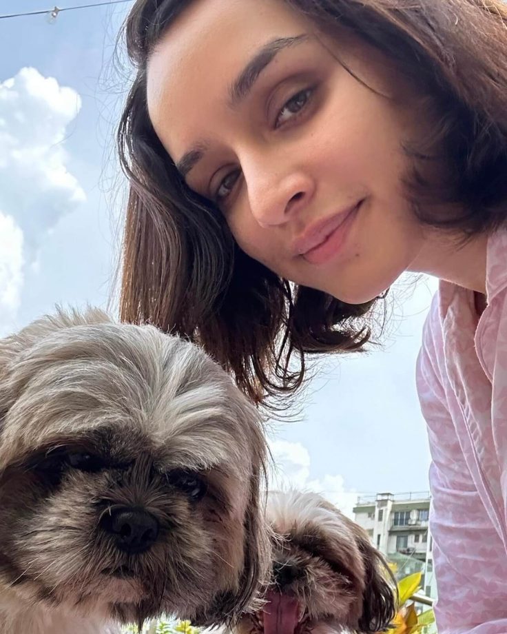 Inside Shraddha Kapoor’s lazy “pawsome” Sunday, see photos 850344