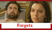 Neerja Ek Nayi Pehchaan Spoiler: Abeer forgets Neerja