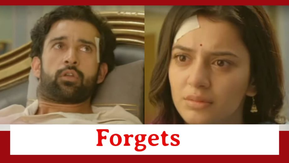 Neerja Ek Nayi Pehchaan Spoiler: Abeer forgets Neerja 848653