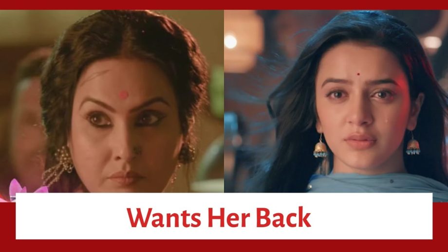 Neerja Ek Nayi Pehchaan Spoiler: Didun gets to know of Abeer's well-being; wants Neerja back 852135