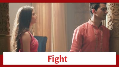 Pandya Store Spoiler: Dhawal and Natasha get into a fight