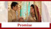 Pandya Store Spoiler: Natasha asks for a big promise from Dhawal on their first night