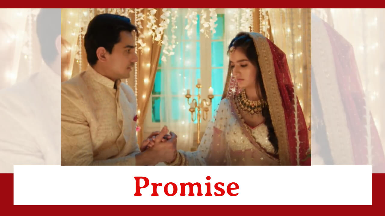 Pandya Store Spoiler: Natasha asks for a big promise from Dhawal on their first night 849698
