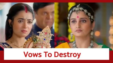 Pyar Ka Pehla Naam Radha Mohan Spoiler: Damini vows to destroy Radha