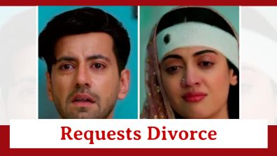 Rabb Se Hai Dua Spoiler: Haider requests divorce from Dua