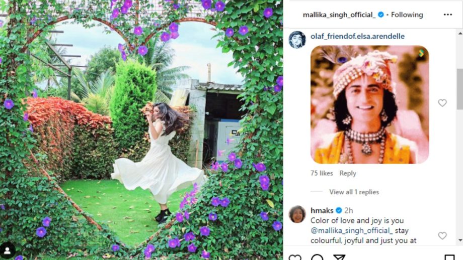 RadhaKrishn fame Mallika Singh looks dreamy as she twirls in white gown 855695