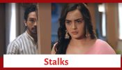 Teri Meri Doriyaann Spoiler: Rumi stalks Sahiba 851707