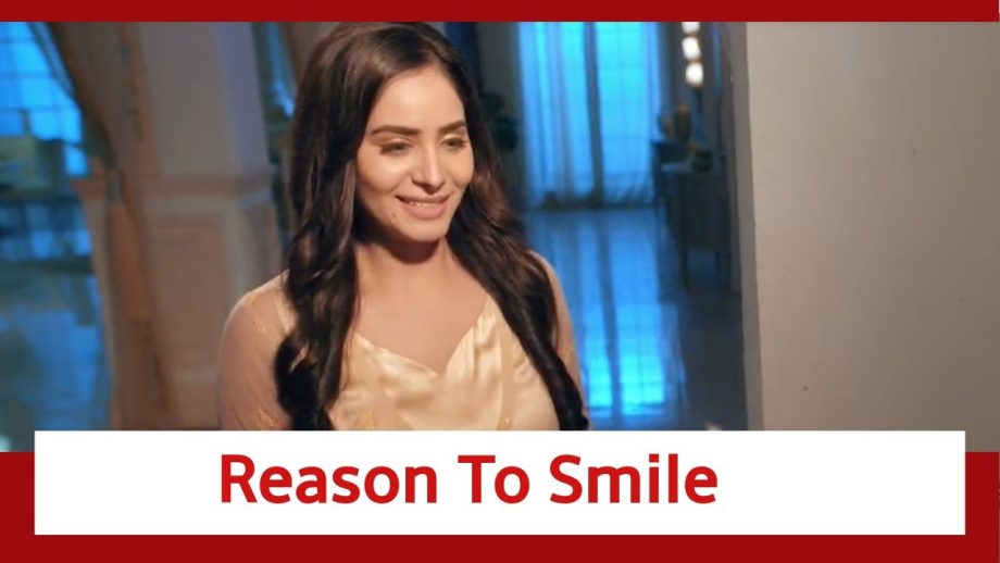 Teri Meri Doriyaann Spoiler: Seerat has a reason to smile 853775