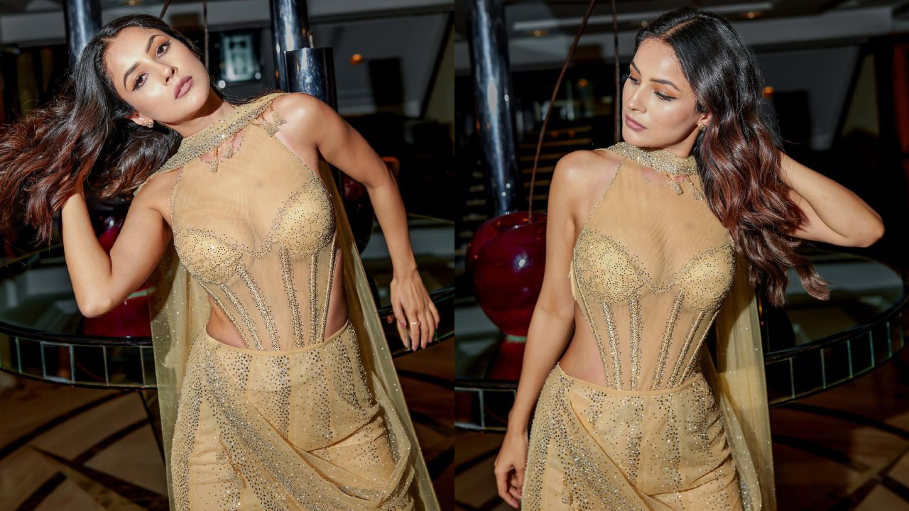 Want to be the glam showstopper? Take cues from Shehnaaz Gill’s sequinned see-through corset dress 854968