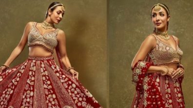 Malaika Arora in intricate heavy embroidered red bridal lehenga is a sight to behold, check out photos