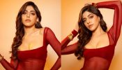 Alaya F glams up in red sheer see-through bodycon ensemble [Photos]