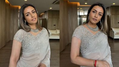 All that sparkle! Namrata Shirodkar twirls in silver sequin silk saree and embellished blouse design