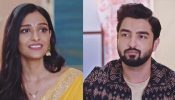 Bhagya Lakshmi update: Rishi and Lakshmi are ALIVE post accident