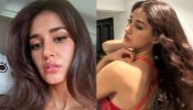 Caught On Camera: Disha Patani’s Sensuousness In Bold Outfit
