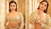Draped in gold: Tamannaah Bhatia glows in regal lehenga choli [Photos]
