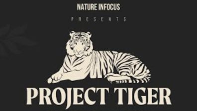 Hombale Films with Nature in Focus, is coming with a captivating tiger conservation documentary! The Trailer Is Out Now!