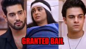 Kumkum Bhagya update: Prachi insists Akshay to withdraw complaint, Ranbir gets bail   