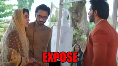 Meet update: Real Adil exposes Shlok, Naaz decides to get Shlok punished