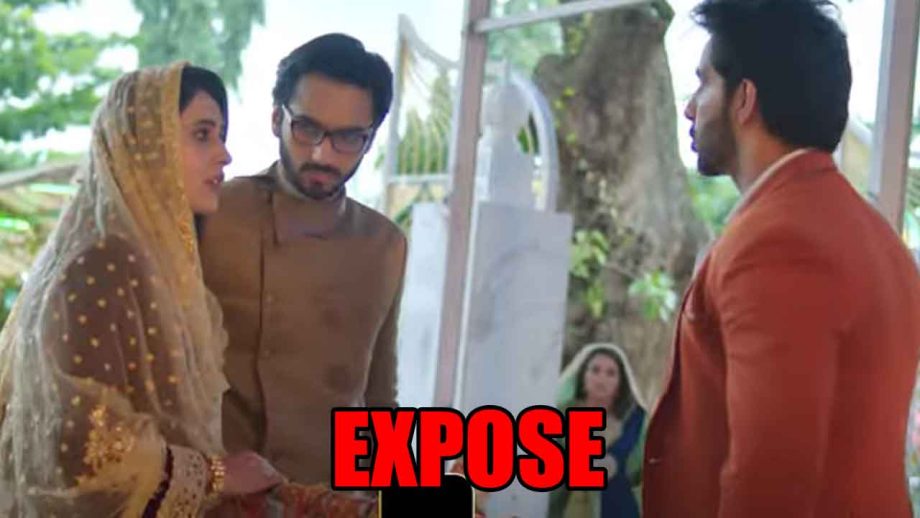 Meet update: Real Adil exposes Shlok, Naaz decides to get Shlok punished 857851