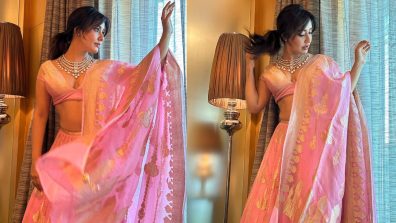 Neha Sharma Blooms In Beautiful Pink Lehenga With Diamond Necklace, Checkout Photos