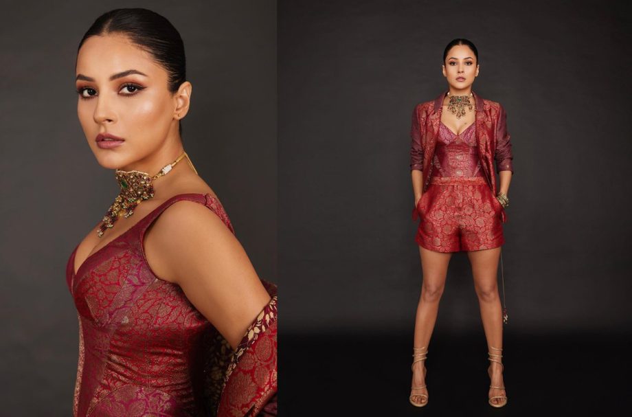 [Photos] Shehnaaz Gill adds royal glory in red brocade jumpsuit design by Tarun Tahiliani 860688