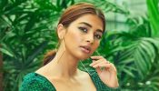 Pooja Hegde Is Bruised; Shows Her ‘Battle Scars’