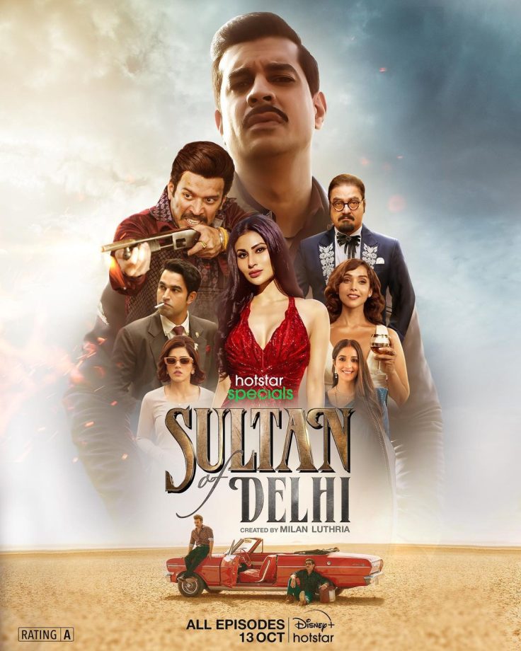 Sultan of Delhi is a mass entertainer: Namit Sharma 860481