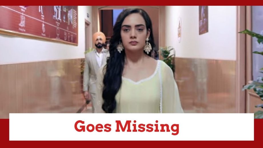 Teri Meri Doriyaann Update: Sahiba goes MISSING From Simran's party 858429