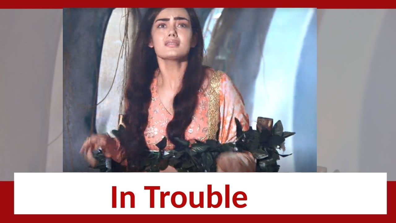 Teri Meri Doriyaann Update: Sahiba in trouble 861808