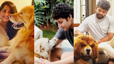 True Dog Lovers FT. Anushka Shetty, Mahesh Babu And Vignesh Shivan