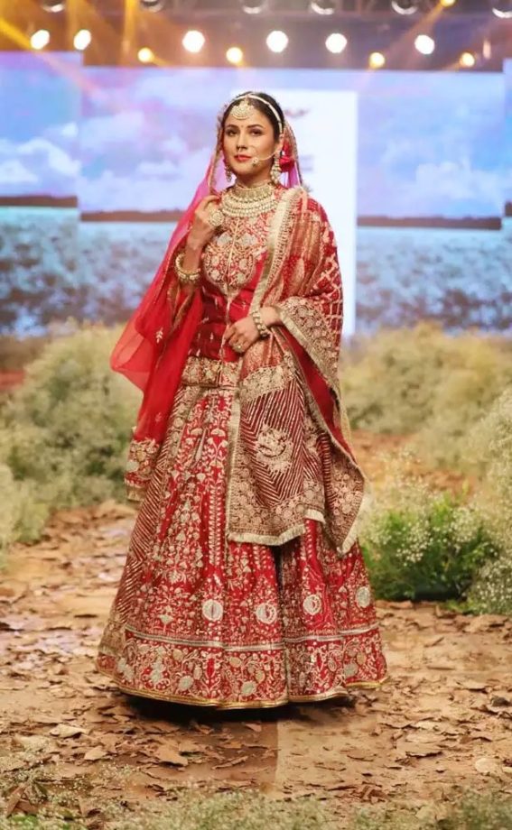 Wedding Lehenga Tips: Ayesha Singh, Shraddha Arya And Shehnaaz Gill 858675