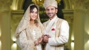 Ali Mercchant ties the knot with model Andleeb Zaidi 866945