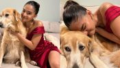 Anushka Sen goes all cuddles with her ‘cutie’, know who