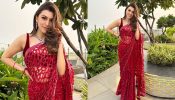 Hansika Motwani’s Fiery Red Net Saree Can Be Your Sassy Diwali Pick, See Photos