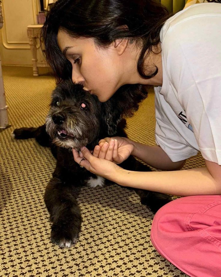 Hilarious! Shraddha Kapoor aces “Moye moye” trend with a pawdorable twist 870632