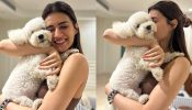 Kriti Sanon’s Adorable Birthday Wish For Her ‘Handsome,’ Find Who?