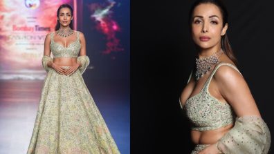 Malaika Arora shines in sequinned silver lehenga choli, check out photos