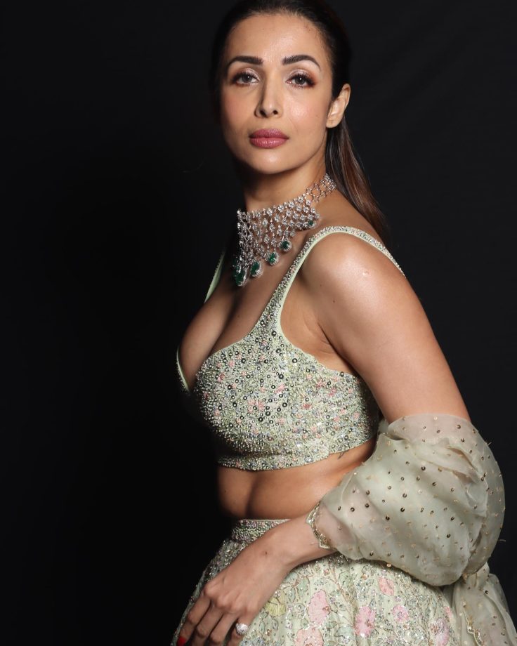 Malaika Arora shines in sequinned silver lehenga choli, check out photos 867147