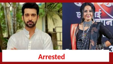 Neerja Ek Nayi Pehchaan Spoiler: Abeer to get Didun arrested?