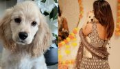 [Photos] Erica Fernandes pens joyous Children’s Day for her furry babies