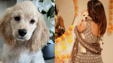 [Photos] Erica Fernandes pens joyous Children’s Day for her furry babies