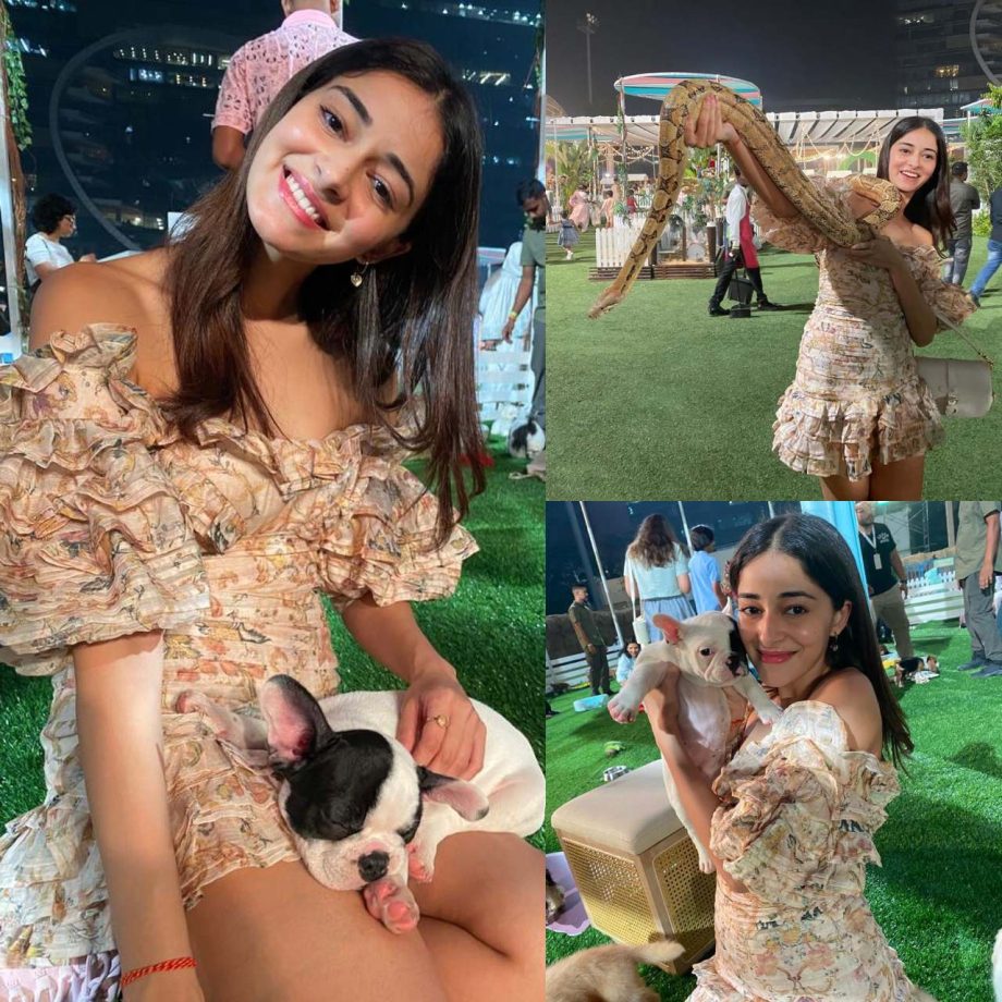 [Photos] Inside Shanaya Kapoor and Ananya Panday “purrfect” Sundays 869660