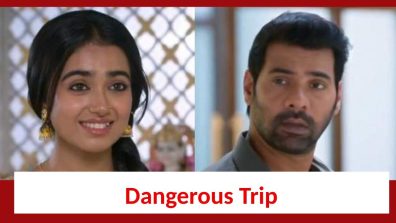 Pyar Ka Pehla Naam Radha Mohan: Radha and Mohan embark on their dangerous trip to USA