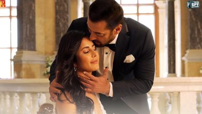 Ruaan Song Out: Tiger & Zoya’s love story hits the right notes