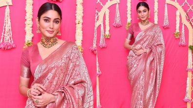 Sana Makbul’s Glam In Pink Banarasi Saree Steals Hearts, Check Out