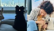 Shanaya Kapoor And Kangana Ranaut Are True Animal Lovers, Take A Look